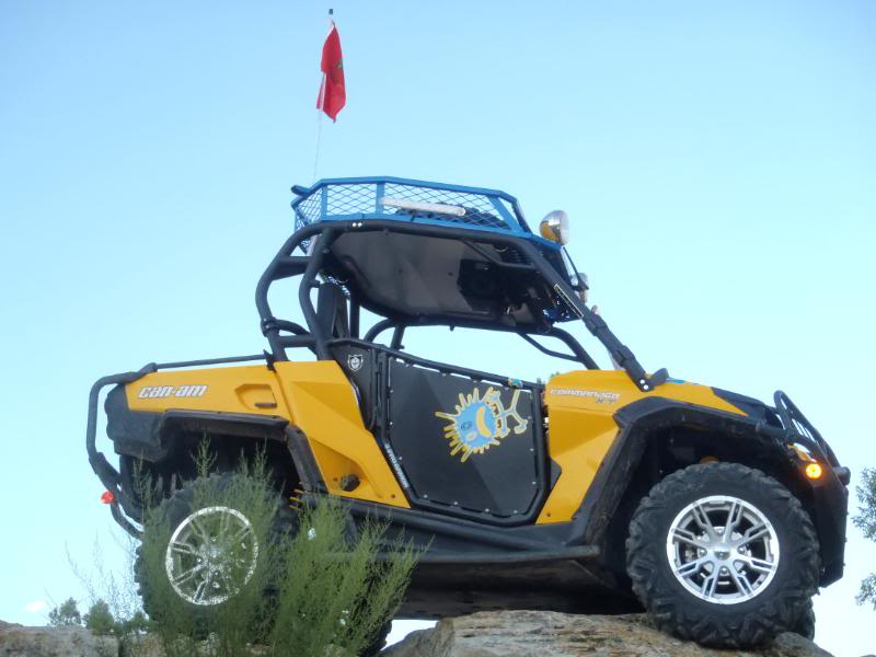 Name:  P8110054-lt-at.jpg
Views: 30
Size:  49.9 KB