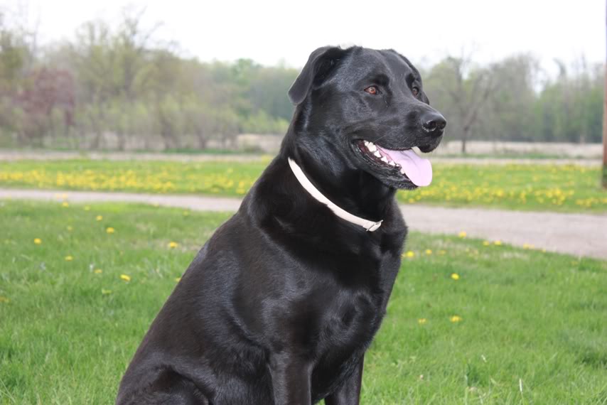 Name: Jake-05-10-2011018a.jpg
Views: 24
Size: 54.6 KB