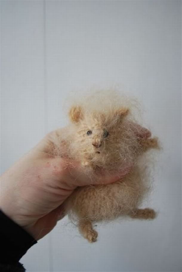 Name:  scottsbabypicture.jpg
Views: 27
Size:  29.8 KB