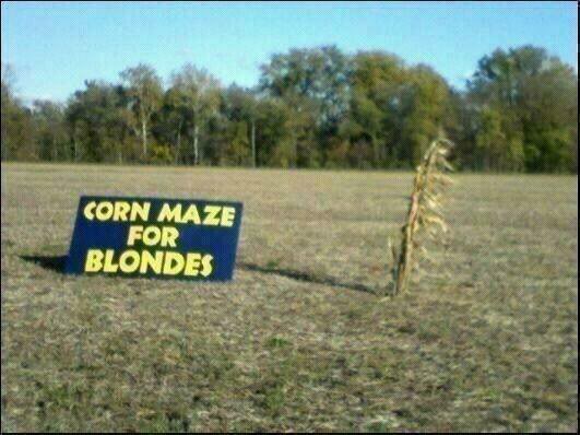 Name:  BlondCornMaze.jpg
Views: 23
Size:  44.3 KB