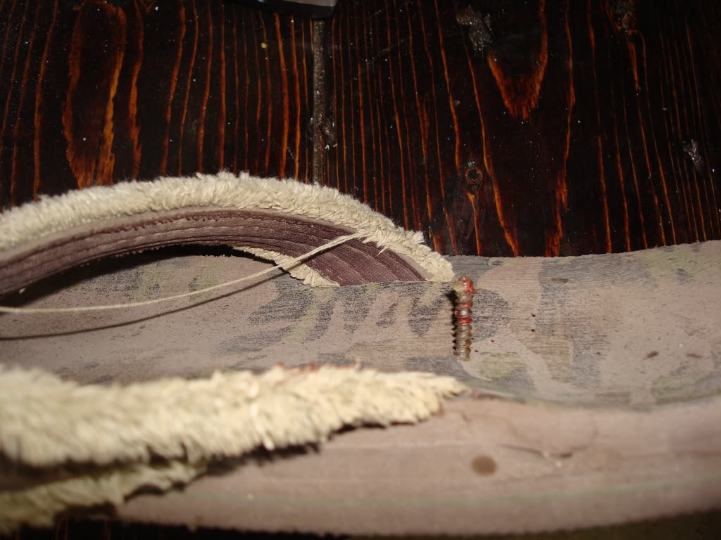 Name:  DSC02917.jpg
Views: 162
Size:  136.6 KB