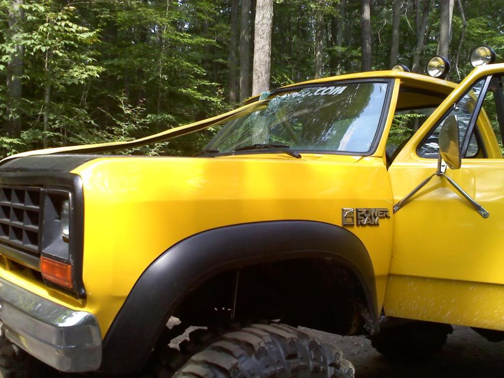 Name: YellowBannanacarnage3.jpg
Views: 1535
Size: 107.8 KB