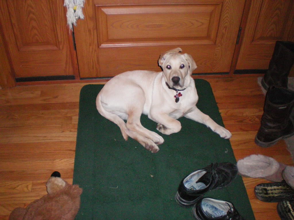 Name:  pictures044.jpg
Views: 17
Size:  180.3 KB