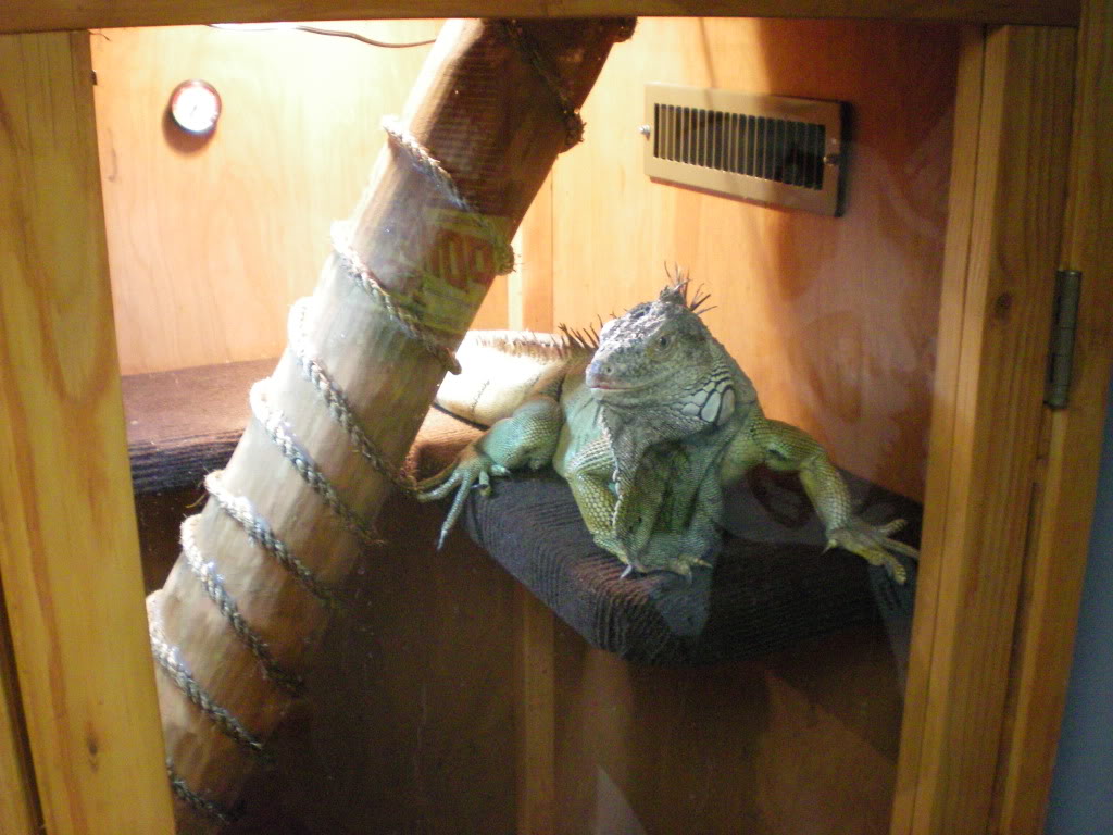 Name:  pictures027-1.jpg
Views: 47
Size:  171.6 KB