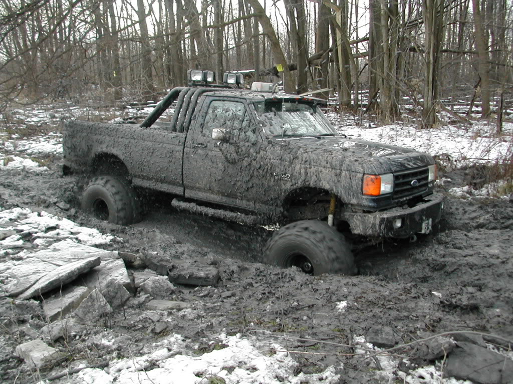 Name:  NIKONCoolpix775FARMMUDPICS-1-10-200.jpg
Views: 304
Size:  251.5 KB