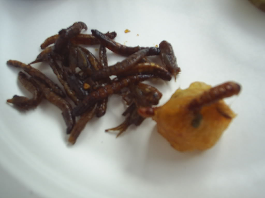 Name: bugs2.jpg
Views: 20
Size: 52.6 KB
