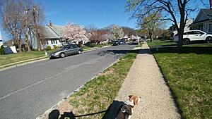 Bright and sunny spring day breakroom. 4/22 - 4/29-0422180957-1024x576.jpg