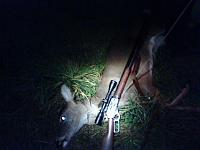 Any Deer Hunters out there? post some pics!-1130061740.jpg