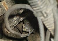 2001 Data Link Plug???-064.jpg