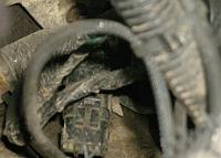 2001 Data Link Plug???-065.jpg