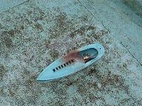 Post your boat-switzerland-pics-263.jpg