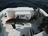 Post your boat-5-6-06-mrt.jpg