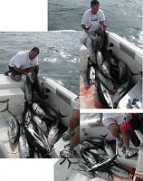 Post your boat-7026-03-combo.jpg