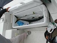 Post your boat-yellobox.jpg