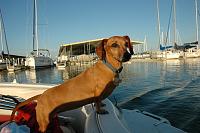 Post your boat-dsc_0012.jpg
