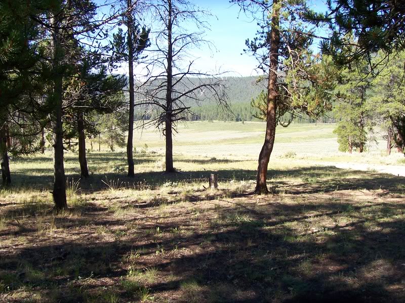 Name: cotrip063.jpg
Views: 471
Size: 185.3 KB